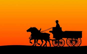 Horse & Carriage