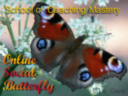 Online Social Butterfly