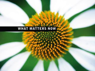 What Matters Now