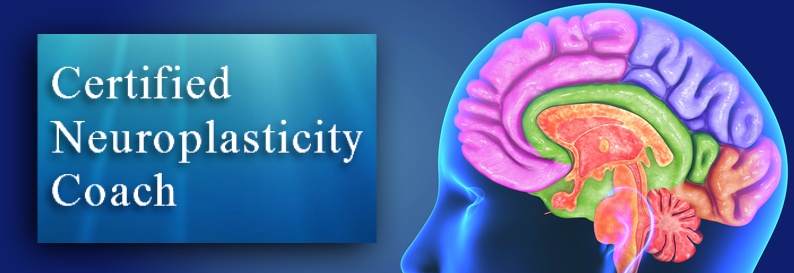 Certified Neuroplasticity Coach