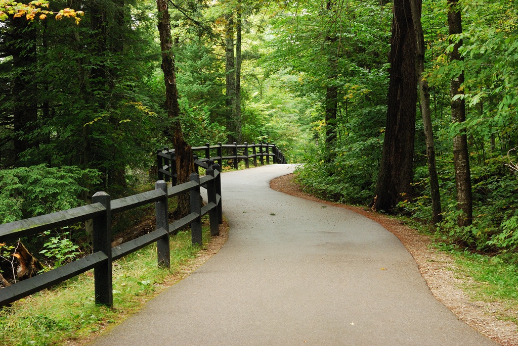 Woods_Path_by_E_Bass_Creative_Commons_License.jpg